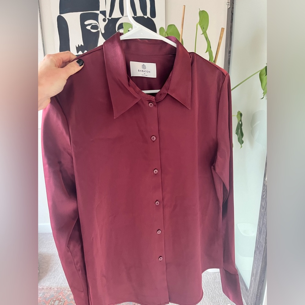 Aritzia silk shirt